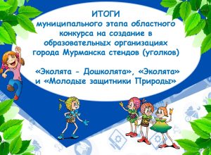 Итоги муниципального этапа